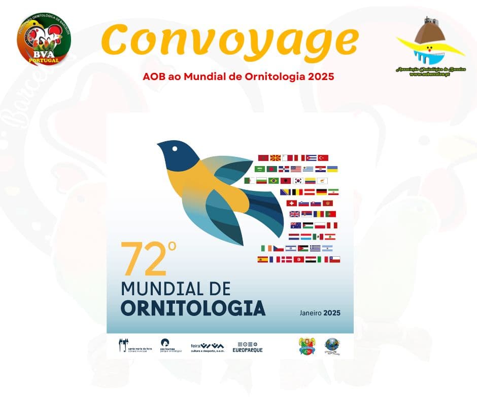 Convoyagem AOB ao Mundial de Ornitologia 2025